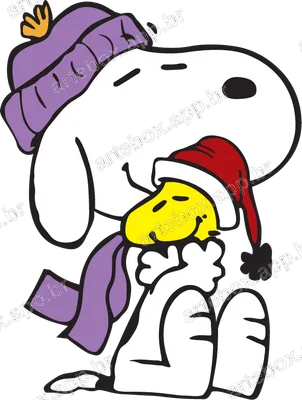 Snoopy Combo