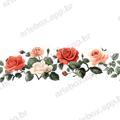 Floral Border